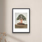 Frau mit Bonsai - Kunstdruck